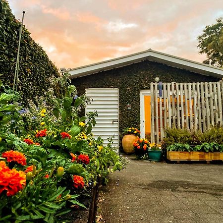 Gully Hideaway Apartment Хамилтън Екстериор снимка