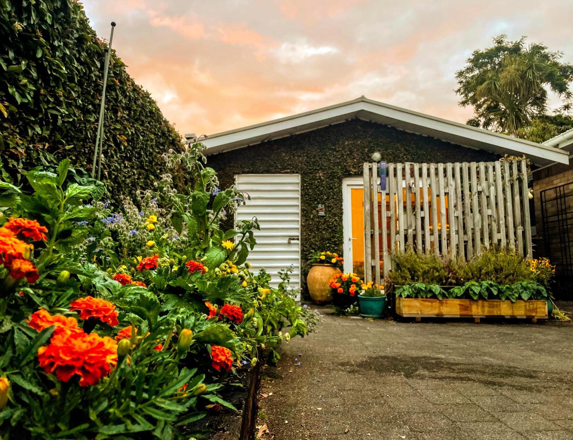 Gully Hideaway Apartment Хамилтън Екстериор снимка